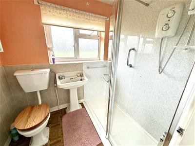 Picture 7